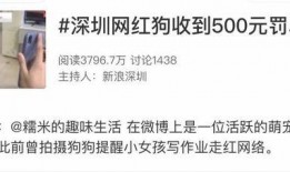 网红糯米爆料视频,网红爆料视频背后的惊人真相